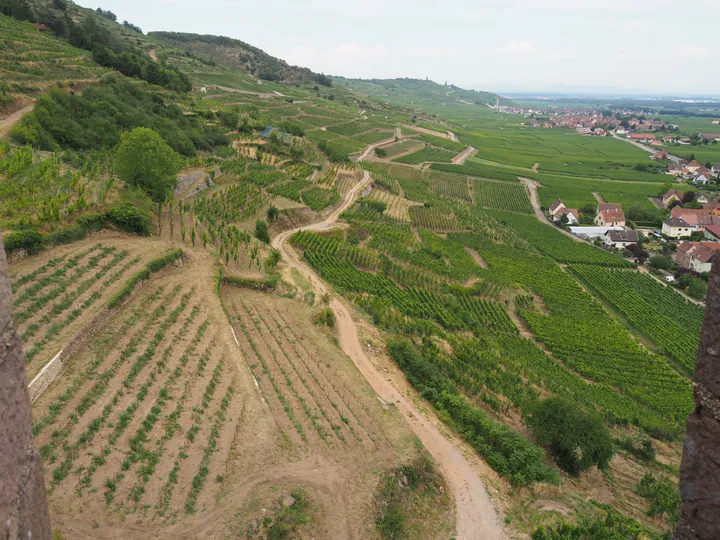 Kaysersberg, Alsace (France)